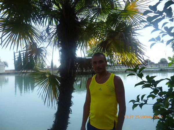 Александр Соловьев