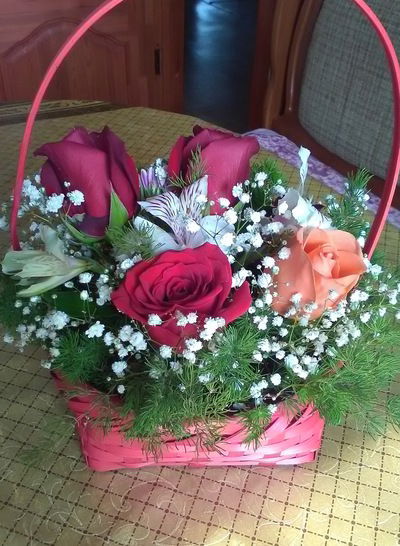 Светлана Белоногова