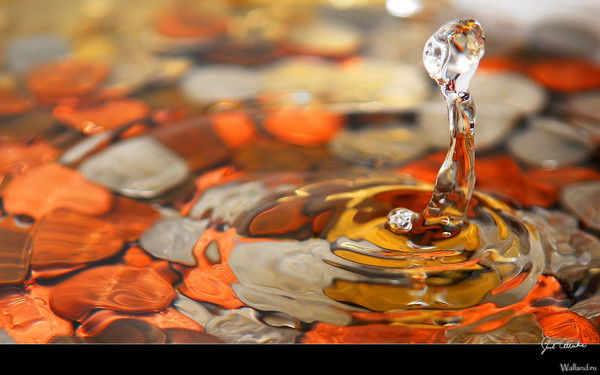 Яна Третьякова