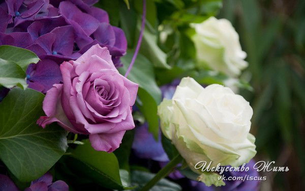 Гульжан Алиякбарова