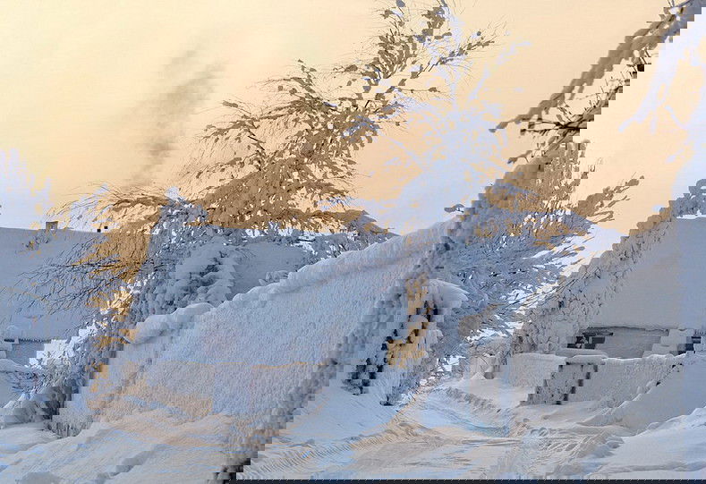 Евгений Тучин