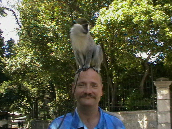 Константин Суходский