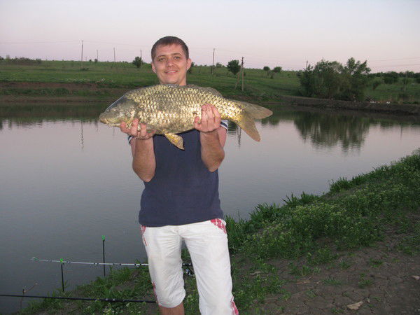 Сергей Кучеренко