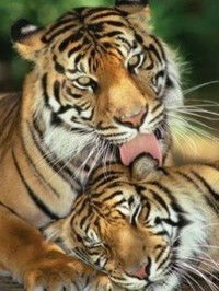 Татьяна Блохина