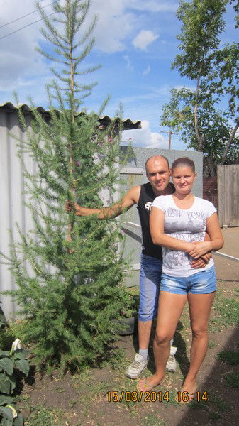 Наталья Осипова