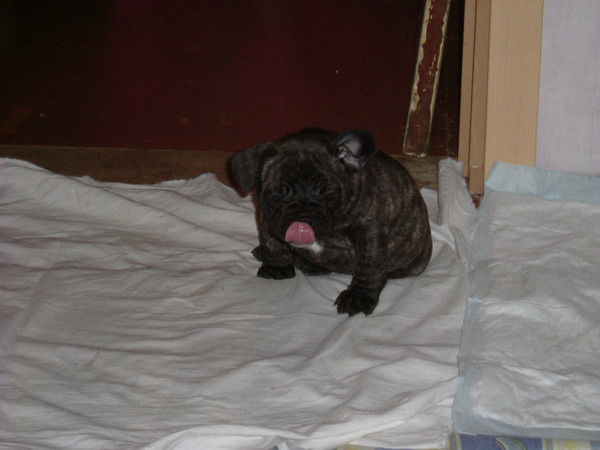 Алексей Кочнев