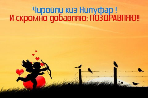 Нилуфар Алимова