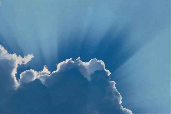 Эльвира Коржова