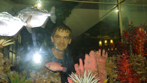 Андрей Волков