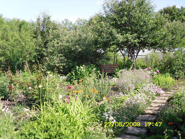 Надя Артемьева