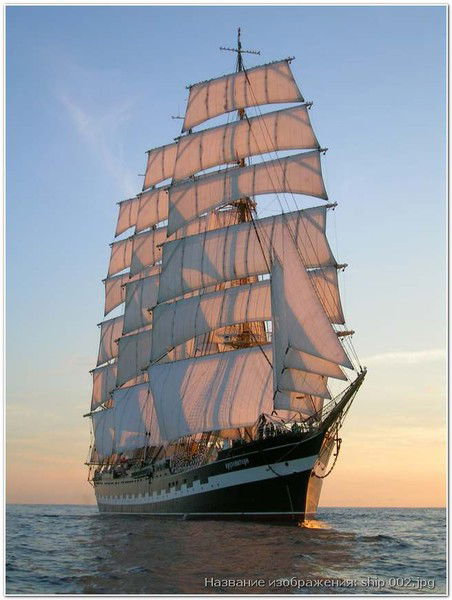 Вера Гладкая