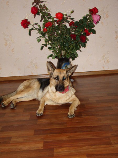 Татьяна И Валера Зубковы