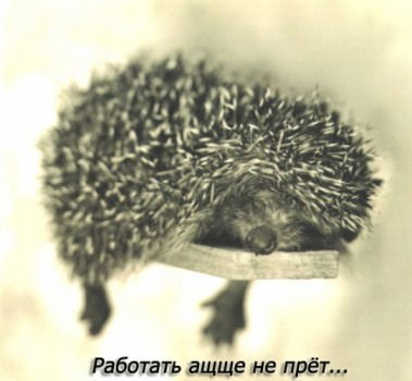 Валерий Пескишев