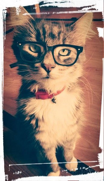 Анастасия Картошова