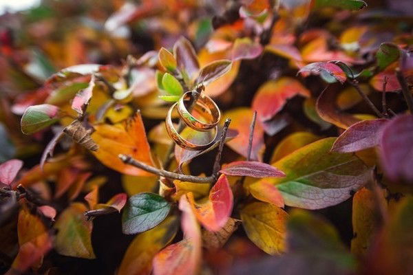 Сергей Богдевич
