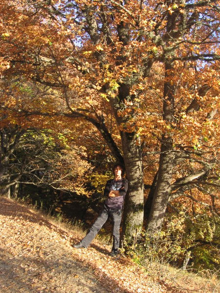 Владимир Костенко