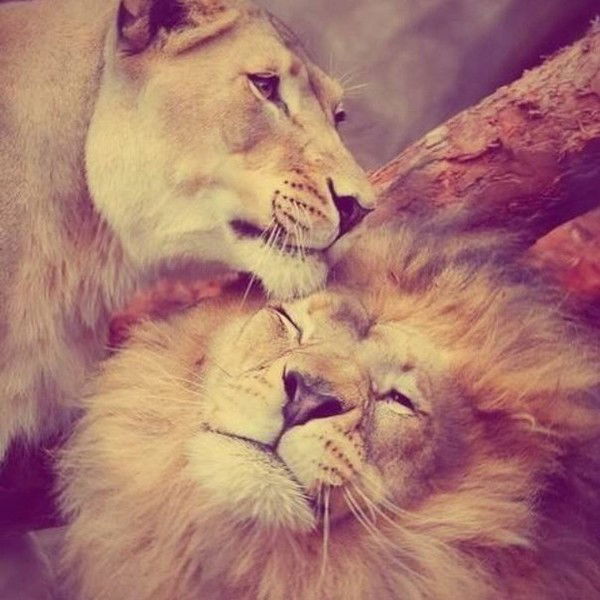 Шынар Макишева