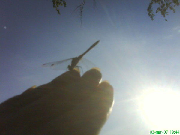 Любовь Сивкова