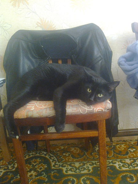 Леша Скляров