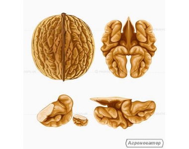 Султан Мамытов