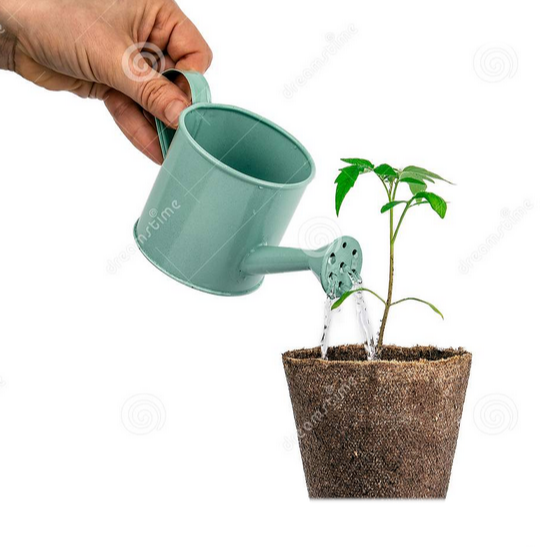 Алексей Панюхин