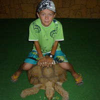 Никита Телегин