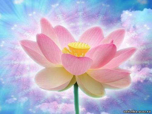 Людмила Макарова