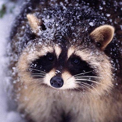 Илья Бочаров