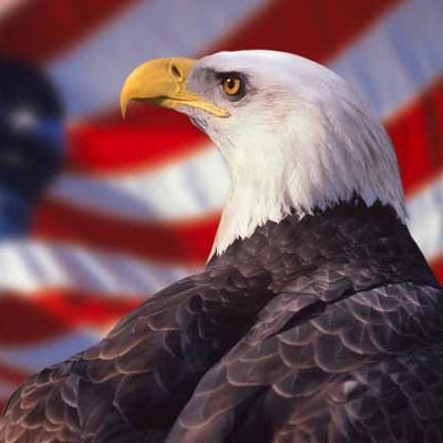 Илья Гурский