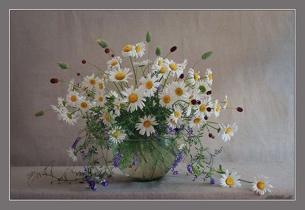 Людмила Киркеснер