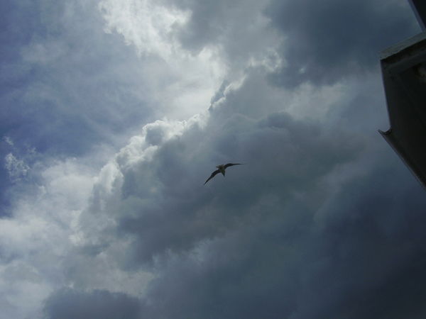 Неизвестно Неизвестно