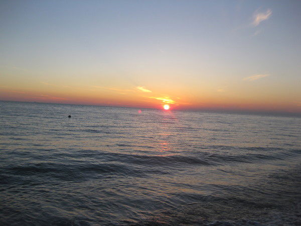 Светлана Система Групп