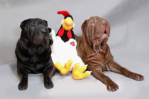 Татьяна Смирнова