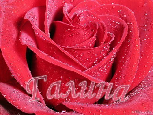 Галина Зверева