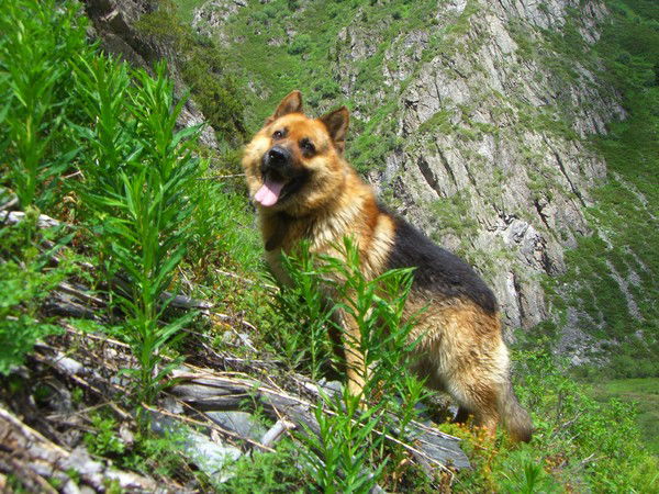 Мария Яковенко