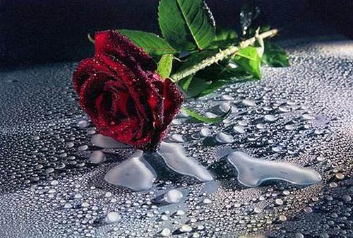 Оксана Кузнецова