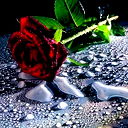 Оксана Кузнецова