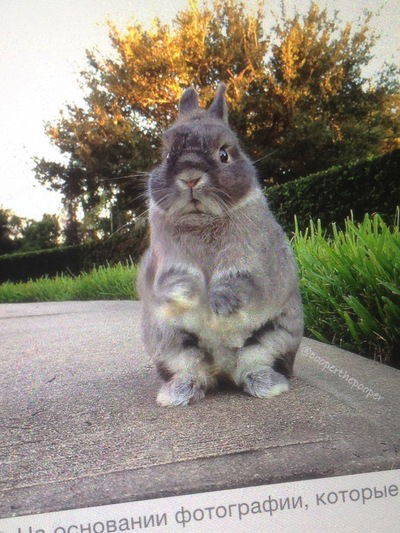 Павел Калугин