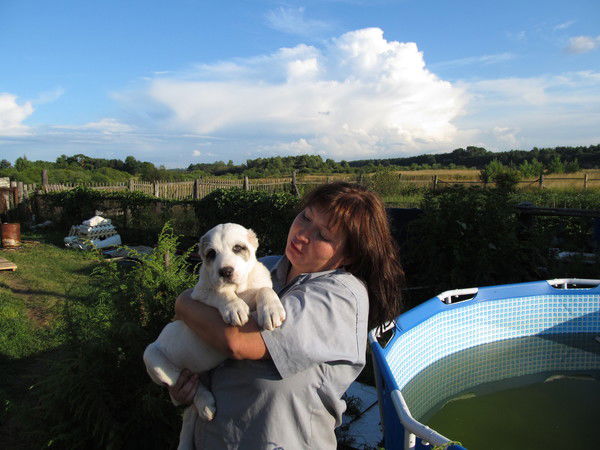 Ирина Холкина