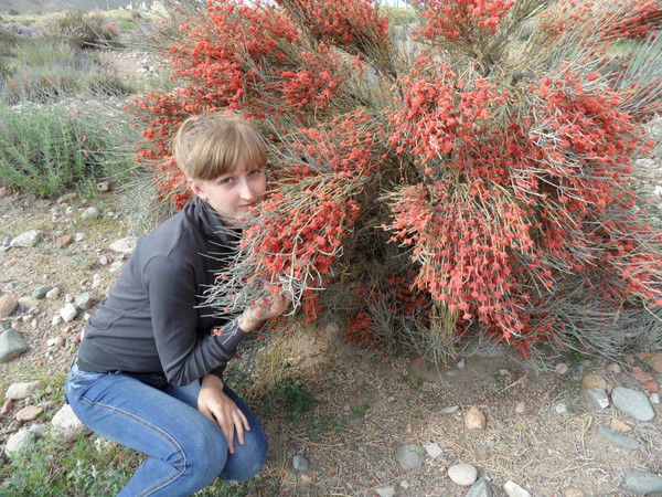 Ксения Елисеева