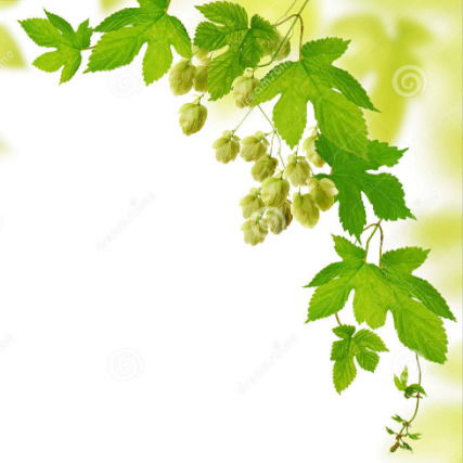 Надежда Помазкина