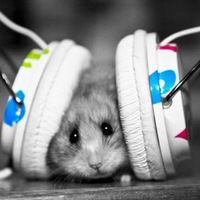 Карим Абдулханов