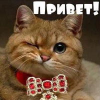 Вика Толочная