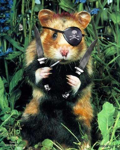 Tweek Горяйнов