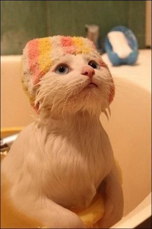 Юрий Зайцев