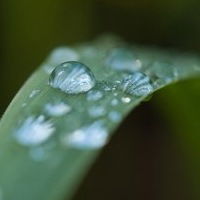 Яна Малигон