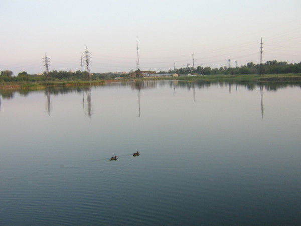 Виолетта Новикова