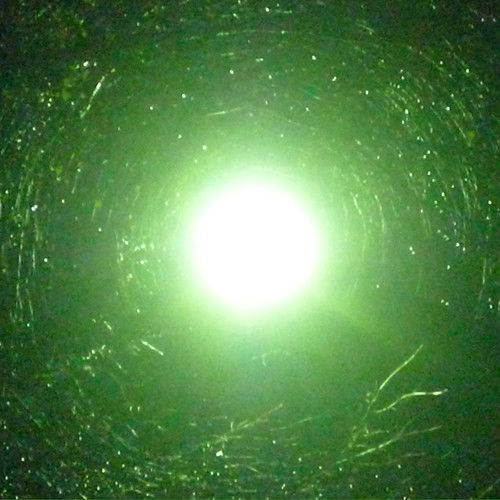 Николай Бочкарев