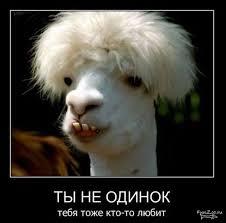 Ангелина Гайдукова