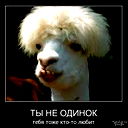 Ангелина Гайдукова